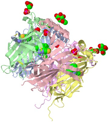 Image Biological Unit 1