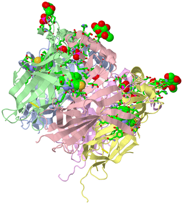 Image Biol. Unit 1 - sites