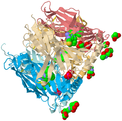 Image Biological Unit 2