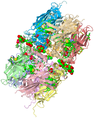 Image Asym. Unit - sites