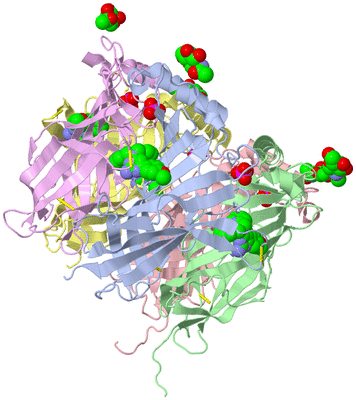 Image Biological Unit 1