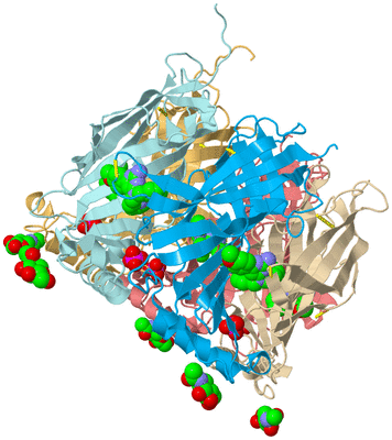 Image Biological Unit 2