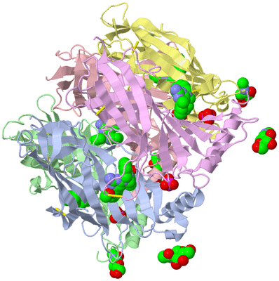 Image Biological Unit 1