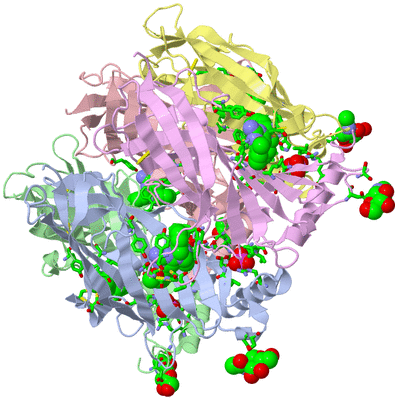 Image Biol. Unit 1 - sites