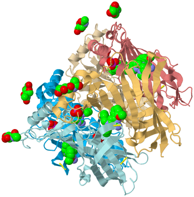 Image Biological Unit 2