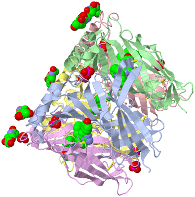 Image Biological Unit 1