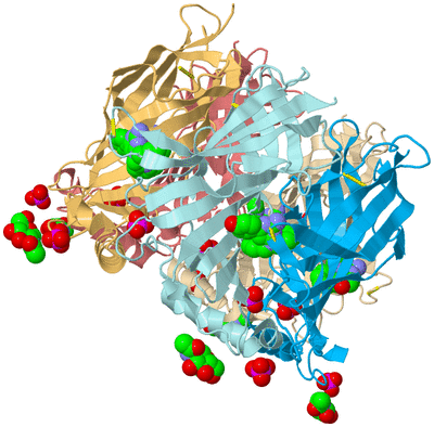 Image Biological Unit 2