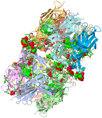 Image Asym. Unit - sites