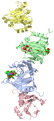 Image Asym. Unit - sites