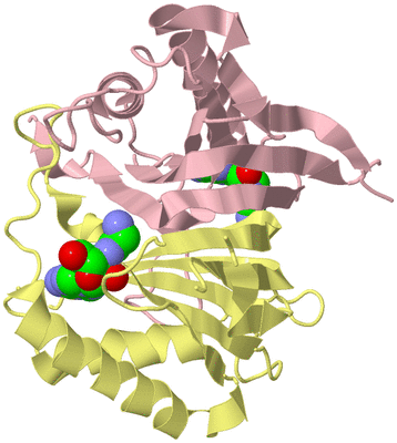 Image Biological Unit 2