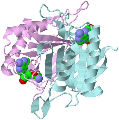 Image Biological Unit 3