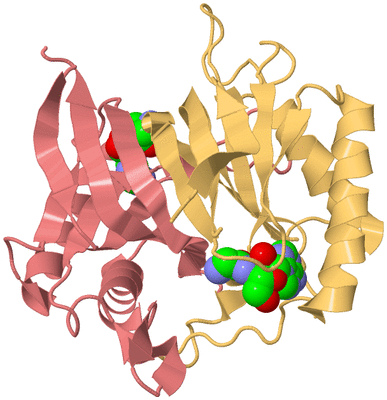 Image Biological Unit 4