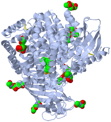 Image Biological Unit 1