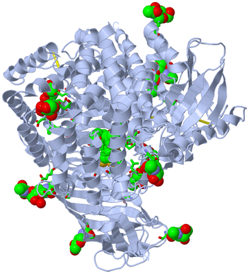 Image Biol. Unit 1 - sites