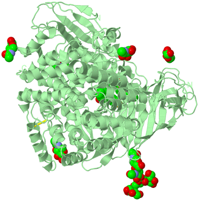 Image Biological Unit 2