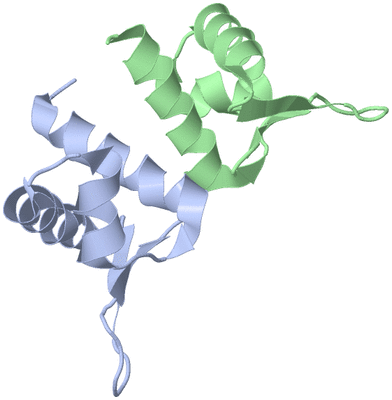 Image Asymmetric Unit