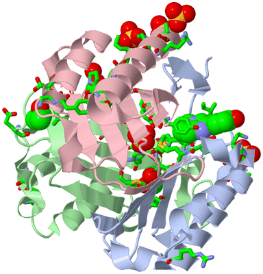 Image Asym./Biol. Unit - sites