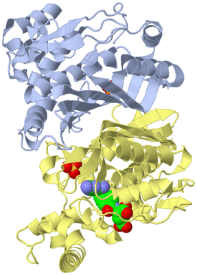 Image Biological Unit 1