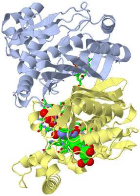 Image Biol. Unit 1 - sites