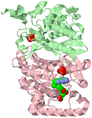 Image Biological Unit 2