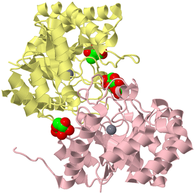 Image Biological Unit 2