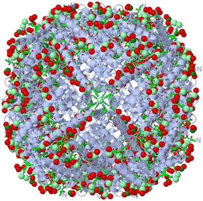 Image Biol. Unit 1 - sites