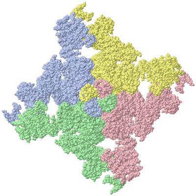 Image Asym./Biol. Unit