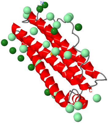 Image Asymmetric Unit