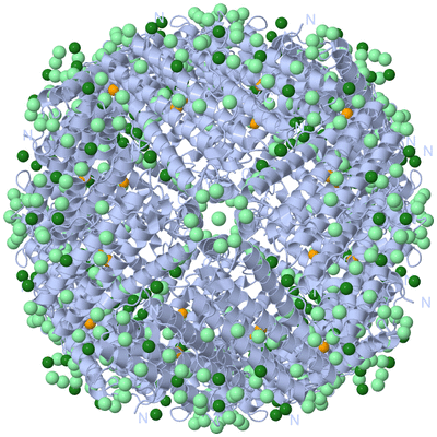 Image Biological Unit 1