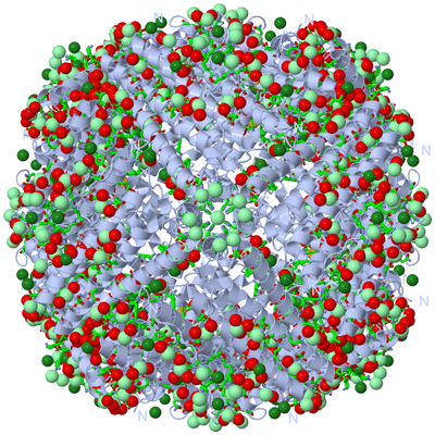 Image Biol. Unit 1 - sites