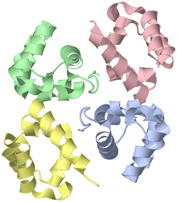 Image Asymmetric Unit