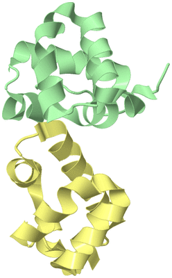 Image Biological Unit 2