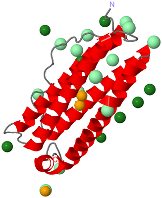 Image Asymmetric Unit