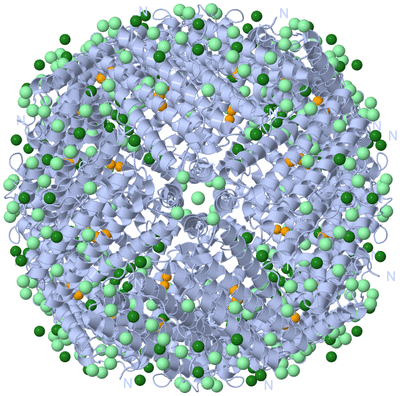 Image Biological Unit 1