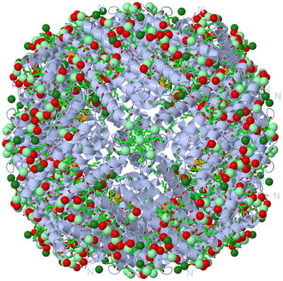 Image Biol. Unit 1 - sites