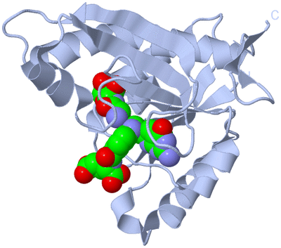 Image Biological Unit 1