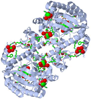 Image Biol. Unit 1 - sites