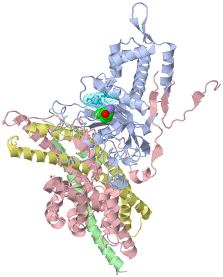 Image Biological Unit 2