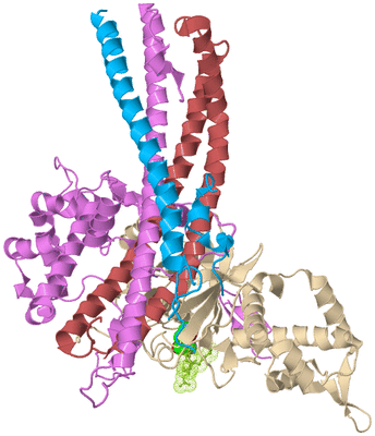 Image Biological Unit 3