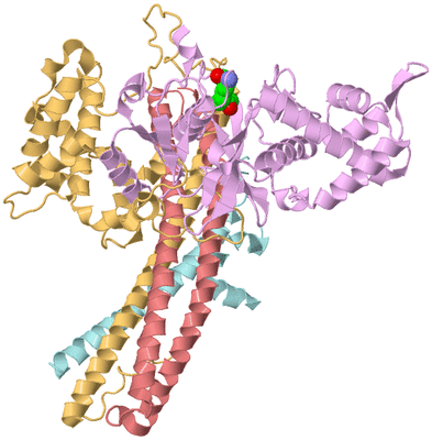 Image Biological Unit 1