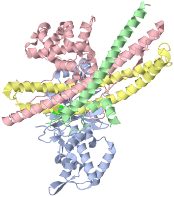 Image Biological Unit 2