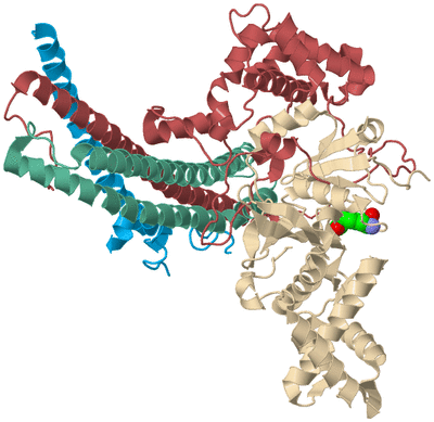 Image Biological Unit 3