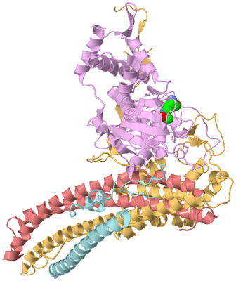 Image Biological Unit 1