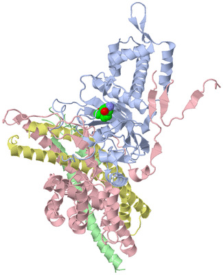 Image Biological Unit 2