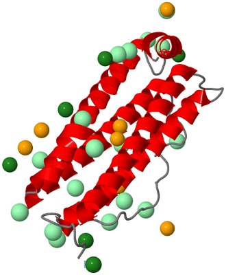 Image Asymmetric Unit