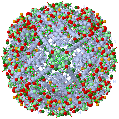 Image Biol. Unit 1 - sites