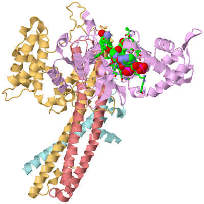 Image Biol. Unit 1 - sites