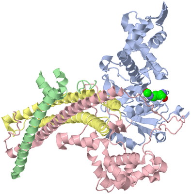 Image Biological Unit 2