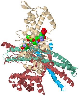 Image Biological Unit 3