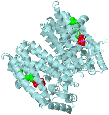 Image Biological Unit 1